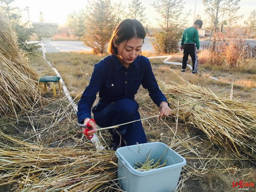 鄉(xiāng)村 李佳琦 們年入幾十萬的秘密